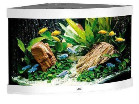 Juwel Aquarium Trigon 190 White TTT Sale