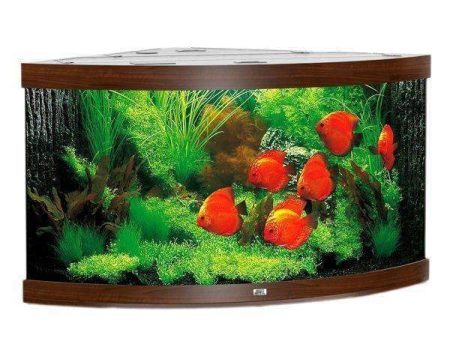 Juwel Aquarium Trigon 350 Dark Brown TTT Cheap