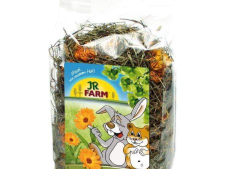 JR FARM Summer feeling edible bedding 100gr Hot on Sale