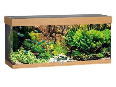 JUWEL Aquarium RIO 240 Beech-Wood-Color TTT Sale