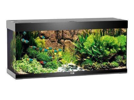 JUWEL Aquarium RIO 240 Black TTT For Sale