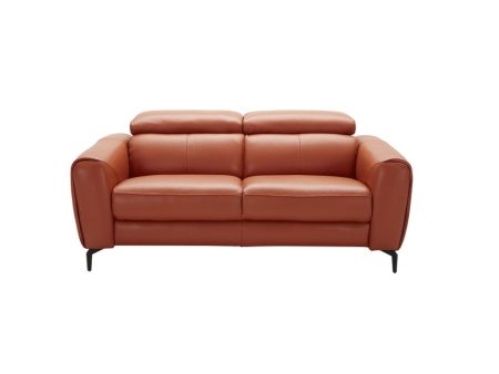 Cooper   Leather Loveseat Cheap