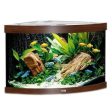 Juwel Aquarium Trigon 190 Dark Brown TTT For Cheap