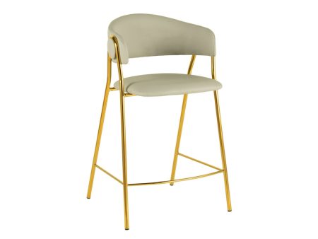 Lara Counter Stool - Set of 2 Online now