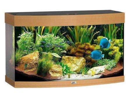 Juwel Aquarium Vision 180 Beech-Wood-Color TTT Online