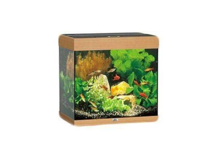 Juwel Aquarium Lido 120 Beech-Wood-Color TTT Hot on Sale