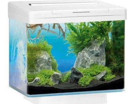 Juwel Aquarium VIO 40 White TTT on Sale