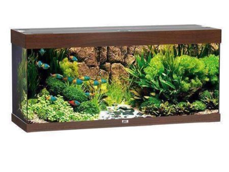 JUWEL Aquarium RIO 240 LED Dark Brown TTT Supply