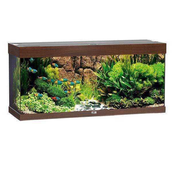 JUWEL Aquarium RIO 240 LED Dark Brown TTT Supply