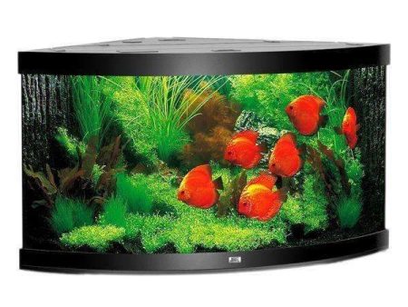 Juwel Aquarium Trigon 350 Black TTT Supply