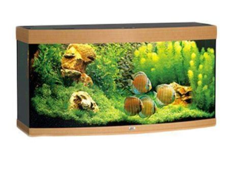 Juwel Aquarium Vision 260 Beech-Wood-Color TTT Online Sale