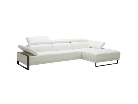 Fleurier Leather Sectional Fashion