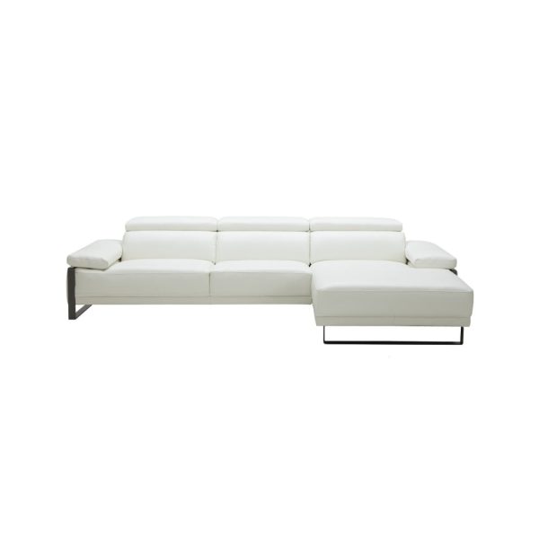 Fleurier Leather Sectional Fashion