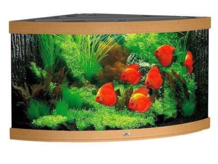 Juwel Aquarium Trigon 350 Beech-Wood-Color TTT Online now